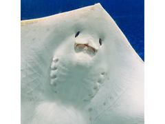 -福州罗源湾海洋世界旅游区