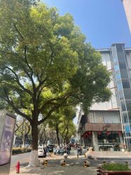 -ChenV西服礼服高级定制(市区养育巷店)