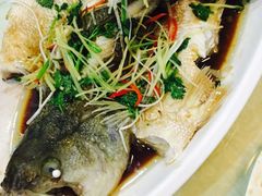 -京都老蔡记(伊河路店)