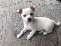 -贵阳市花溪国家城市湿地公园