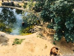 -石家庄市动物园