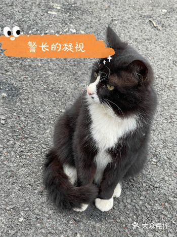 燕园也和它不足为外人道的故事一样，被尘封了10余年了