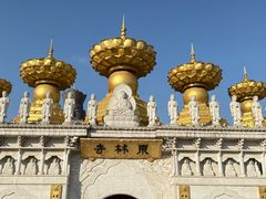 -上海东林寺(金山区)