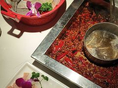 -二荆条·蜀鲜汇城市森林火锅