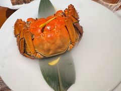 -觀芷隐轩