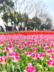 -玄武湖景区-情侣园游乐场