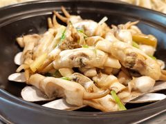 姜葱炒蛏子-双井轩(双井店)