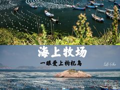 -枸杞岛