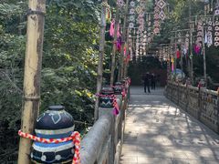 -西双版纳原始森林公园
