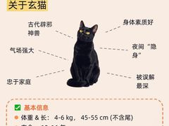 -翊宠yipet猫狗购宠庄园犬舍•猫舍