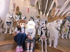 -Husky Go! 哈士奇体验馆·宠物咖啡厅狗咖