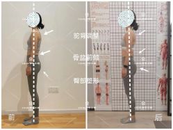 -无界瑜伽普拉提