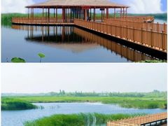 -赵州桥景区