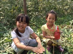 庞各庄翠芳园西瓜蔬菜基地采摘园-庞各庄翠芳园西瓜蔬菜基地采摘园