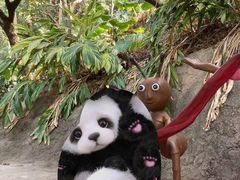 -青青世界