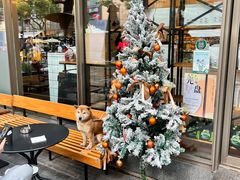 -81BAKERY(大学路店)