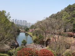 -桃花岭景区