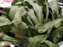 -清真·老门框爆肚涮肉·中华老字号(丰管路店)