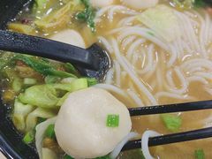 鱼丸-龙记桂林米粉(财满街店)