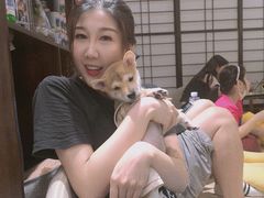 -逗柴咖啡屋·狗咖猫咖宠物桌游