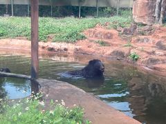 -海南热带野生动植物园