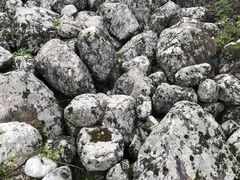 -陕西省红河谷森林公园