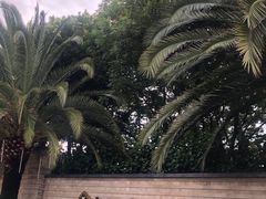 -昆明洲际酒店