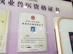 -宠爱国际动物医院· 猫科· 外科·中兽医(长白店)