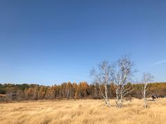 -塞罕坝国家级自然保护区