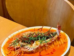 -O'eat Blossom&Pelican(深圳首店)