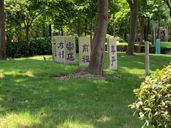 -陈家山荷花公园