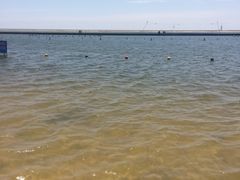 -碧海金沙