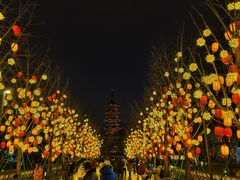 -龙华寺