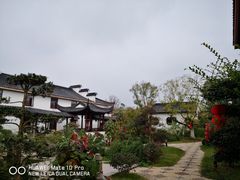 -川南大草原
