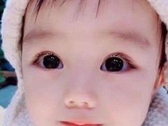 -雷门拉面店(新光天地店)