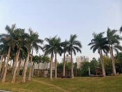 -南宁南湖公园