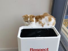 -怪兽屋·羊驼·猫咖·狗咖(俊华广场店)