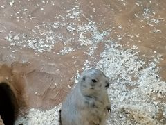 -秦皇岛新澳海底世界