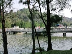 -顺峰山公园