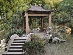 -汇龙潭