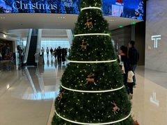 -深圳湾万象城(南山店)