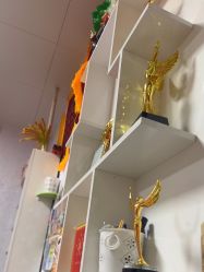 -丽减美瘦吧·瘦身塑形