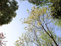 -杭州半山国家森林公园