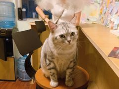 -H立方实景剧情密室(天河旗舰店)