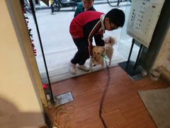 -元氏钵仔糕(北京路店)