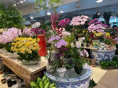 -双季花艺园艺市场(浦东店)