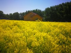 -天津武清北运河郊野公园房车露营地