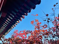 -红螺寺