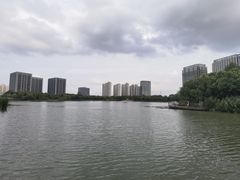 -南翔镇银翔湖公园