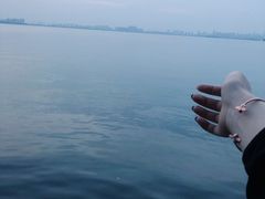 -Dark Horse·黑马蛋糕·低脂·低糖淡奶(金匙望湖大厦店)